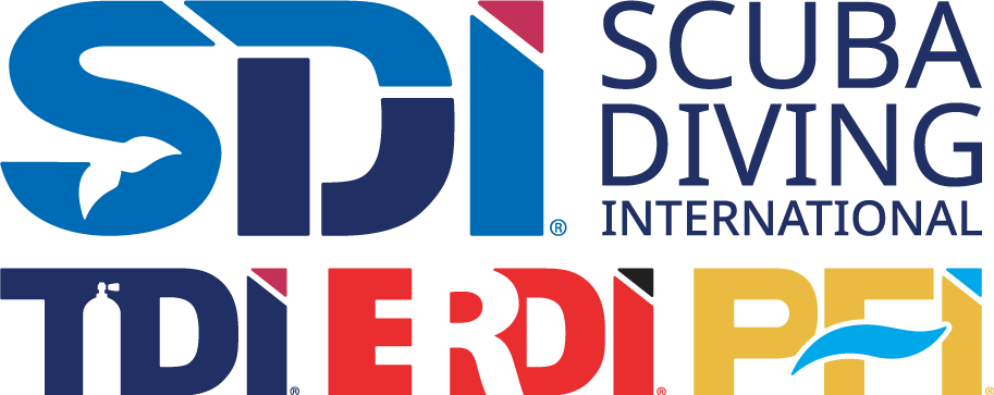 SDI logo